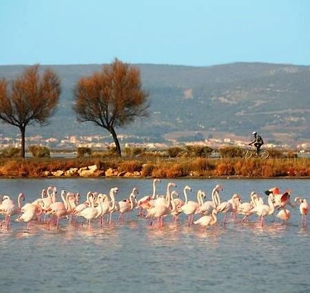 Appart Beziers Plage Экстерьер фото