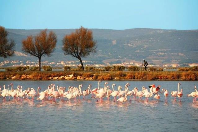Appart Beziers Plage Экстерьер фото